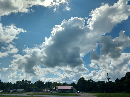 Discount Store «Dollar General», reviews and photos, 11503 US-190, Merryville, LA 70653, USA