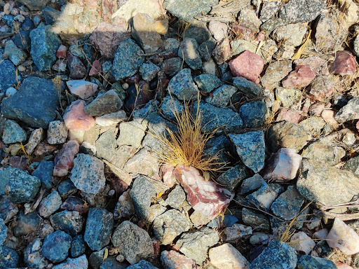 Nature Preserve «Cave Buttes Recreation Area», reviews and photos, N 7th St & E Happy Valley Rd, Phoenix, AZ 85024, USA