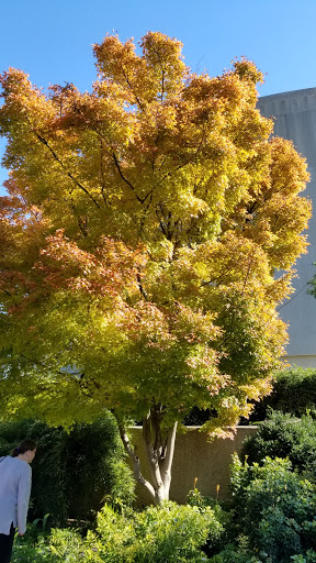 Museum «Smithsonian Castle», reviews and photos, 1000 Jefferson Dr SW, Washington, DC 20560, USA