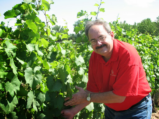 Winery «Chateau Niagara Winery», reviews and photos, 2466 W Creek Rd, Burt, NY 14028, USA