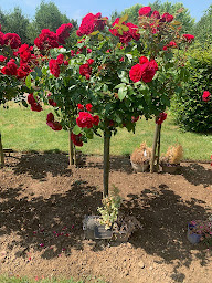 Photo n°20 de Crématorium et Parc Mémorial du Pays d'Artois à Beaurains ()