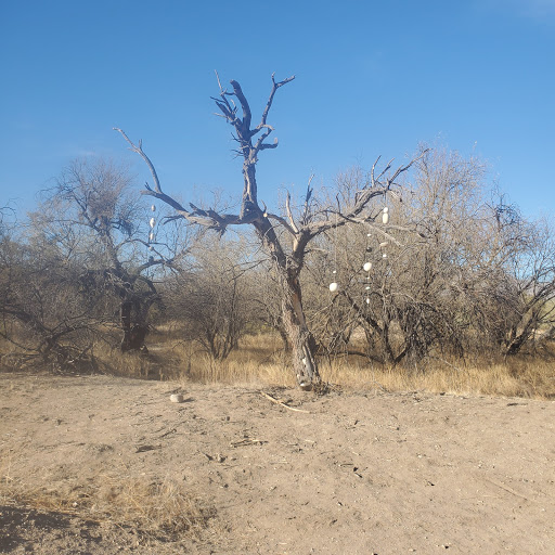 Country Club «Tucson Country Club», reviews and photos, 2950 N Camino Principal, Tucson, AZ 85715, USA