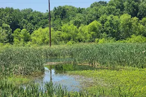 Mossy Creek Wildlife Viewing Area image