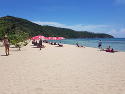 Mae Haad Beach'in fotoğrafı uçurumlarla desteklenmiş