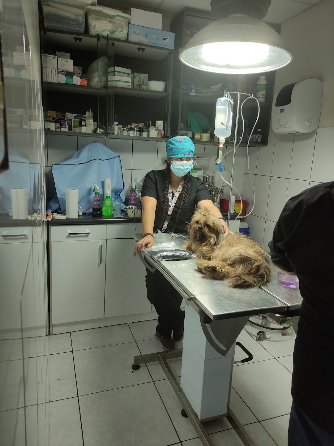 Clinica Veterinaria Hachi Pets