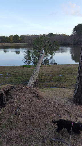 Golf Course «The Clubs of Kingwood - Kingwood Clubhouse», reviews and photos, 1700 Lake Kingwood Trail, Kingwood, TX 77339, USA