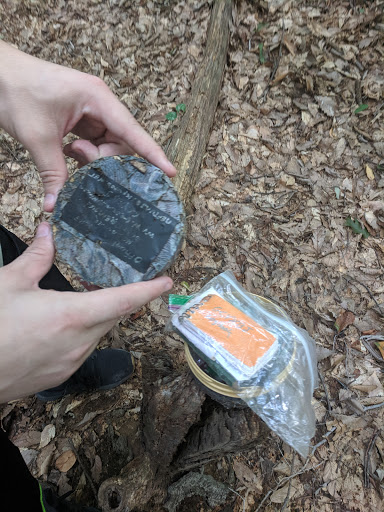 Park «Beech Woods Park», reviews and photos, 137 Beekman Rd, Kendall Park, NJ 08824, USA