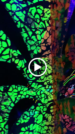 Movie Theater «Cinemark Orlando and XD», reviews and photos, 5150 International Dr, Orlando, FL 32819, USA