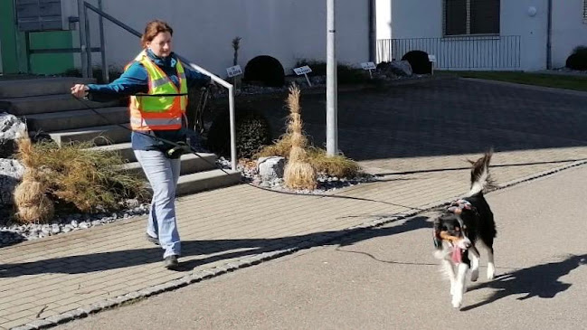 Rezensionen über Mantrailing Zentrum in Bern - Hundeschule