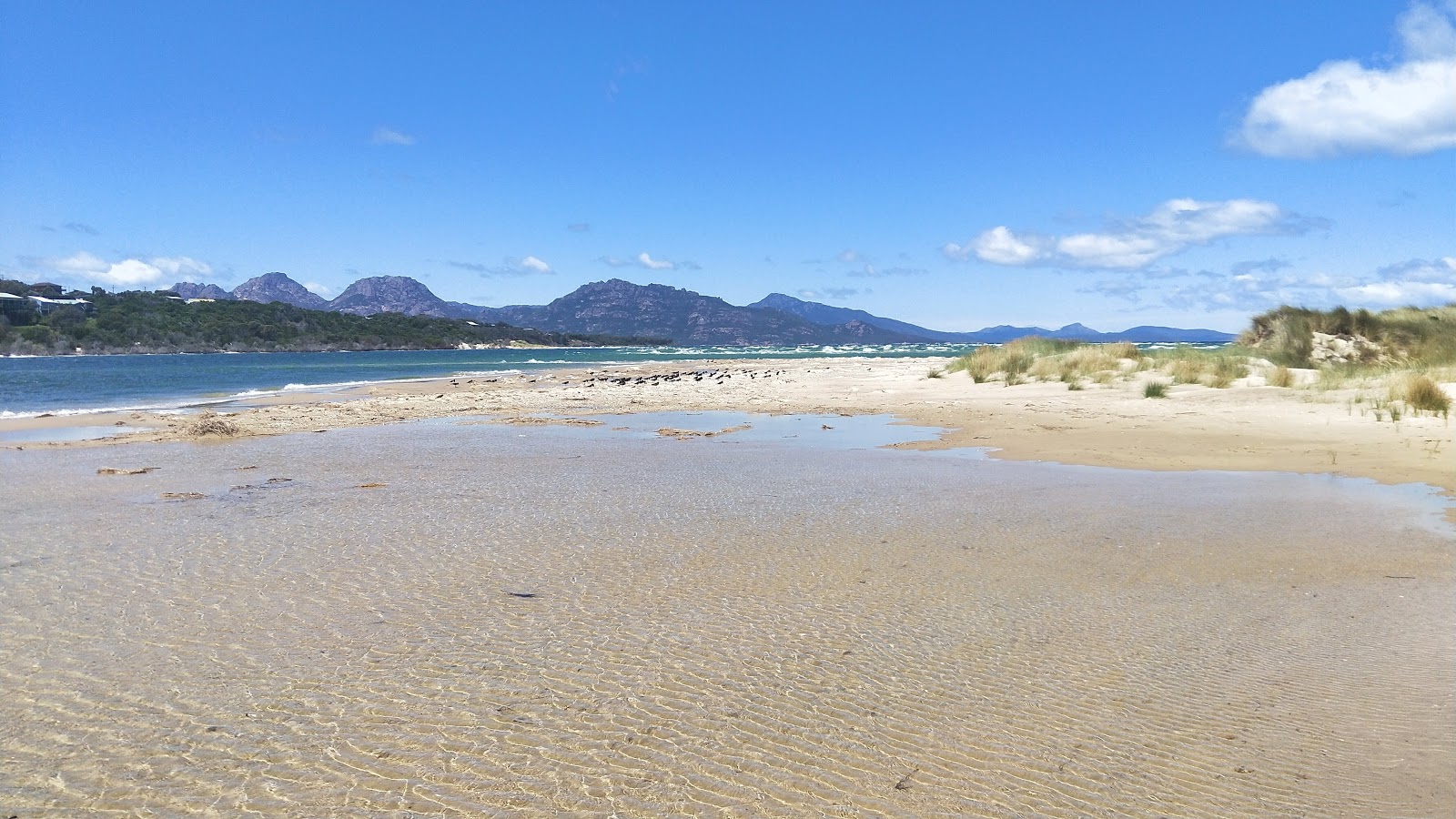 Photo de Sandpiper Beach avec #43