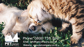 Auckland Pet Sitting | PET COMPANY | At-Home Pet Care