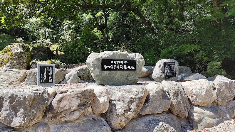 牧野富太郎ヤマトグサ発見の地の記念碑