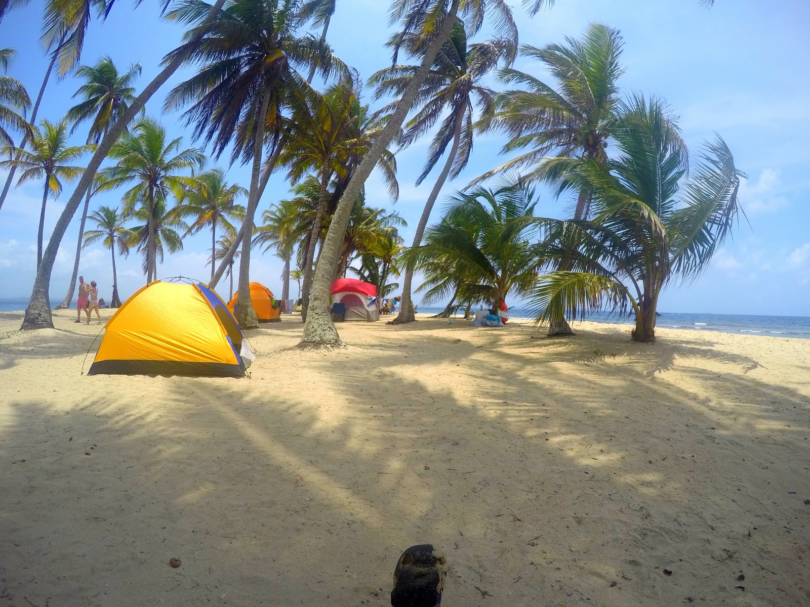 Foto van Iguana island beach gelegen in een natuurlijk gebied