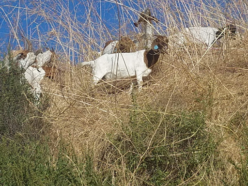 Shopping Mall «Country Hills Shopping Center», reviews and photos, 2905 Rolling Hills Rd, Torrance, CA 90505, USA