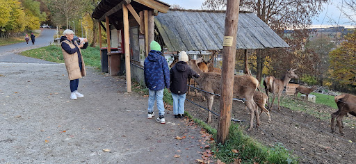 Wildgatter Katharinenberg unter Wunsiedel, 