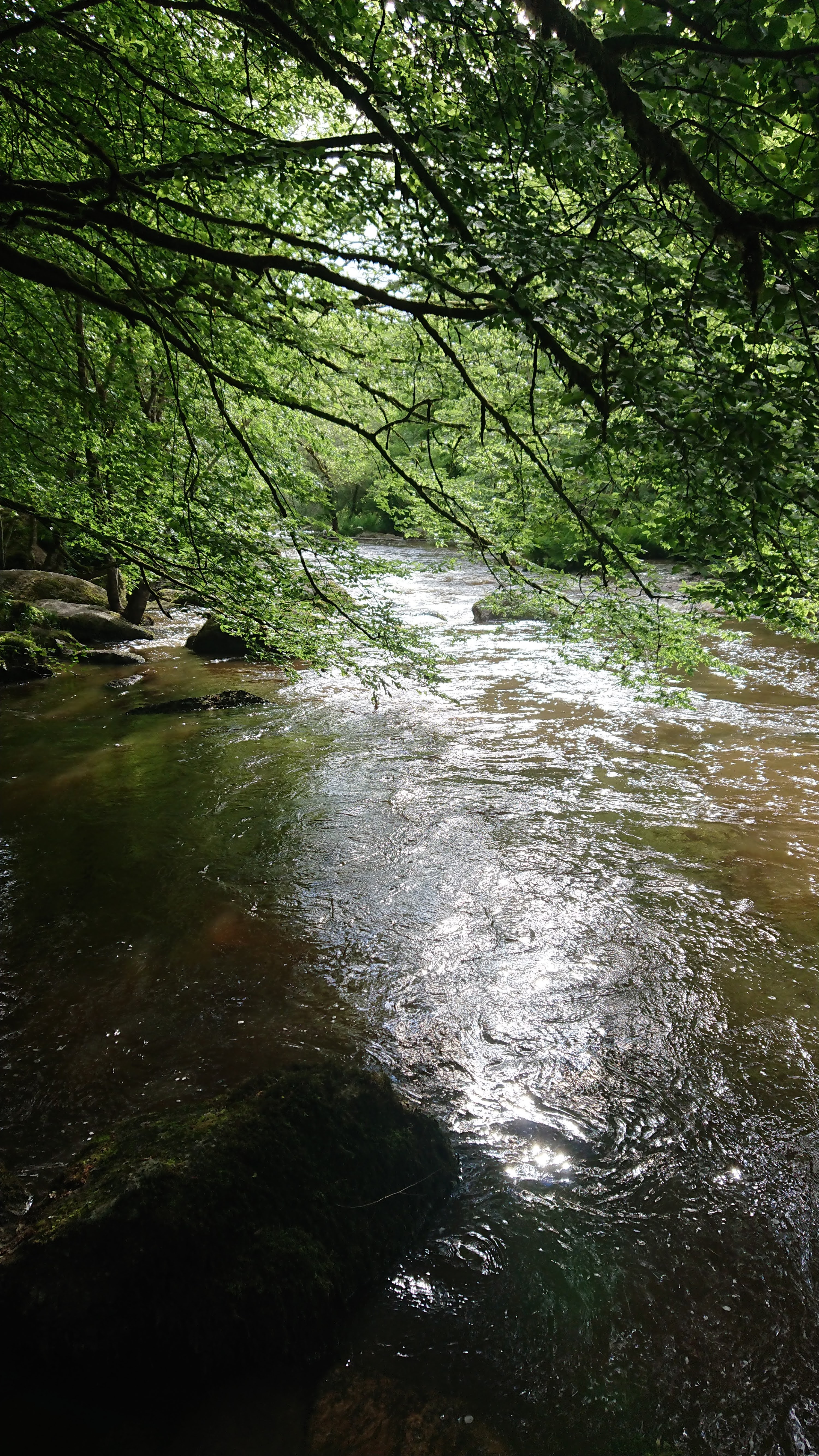 Photo n° 2 de l'avis de Ludwina.E fait le 26/05/2021 à 11:52