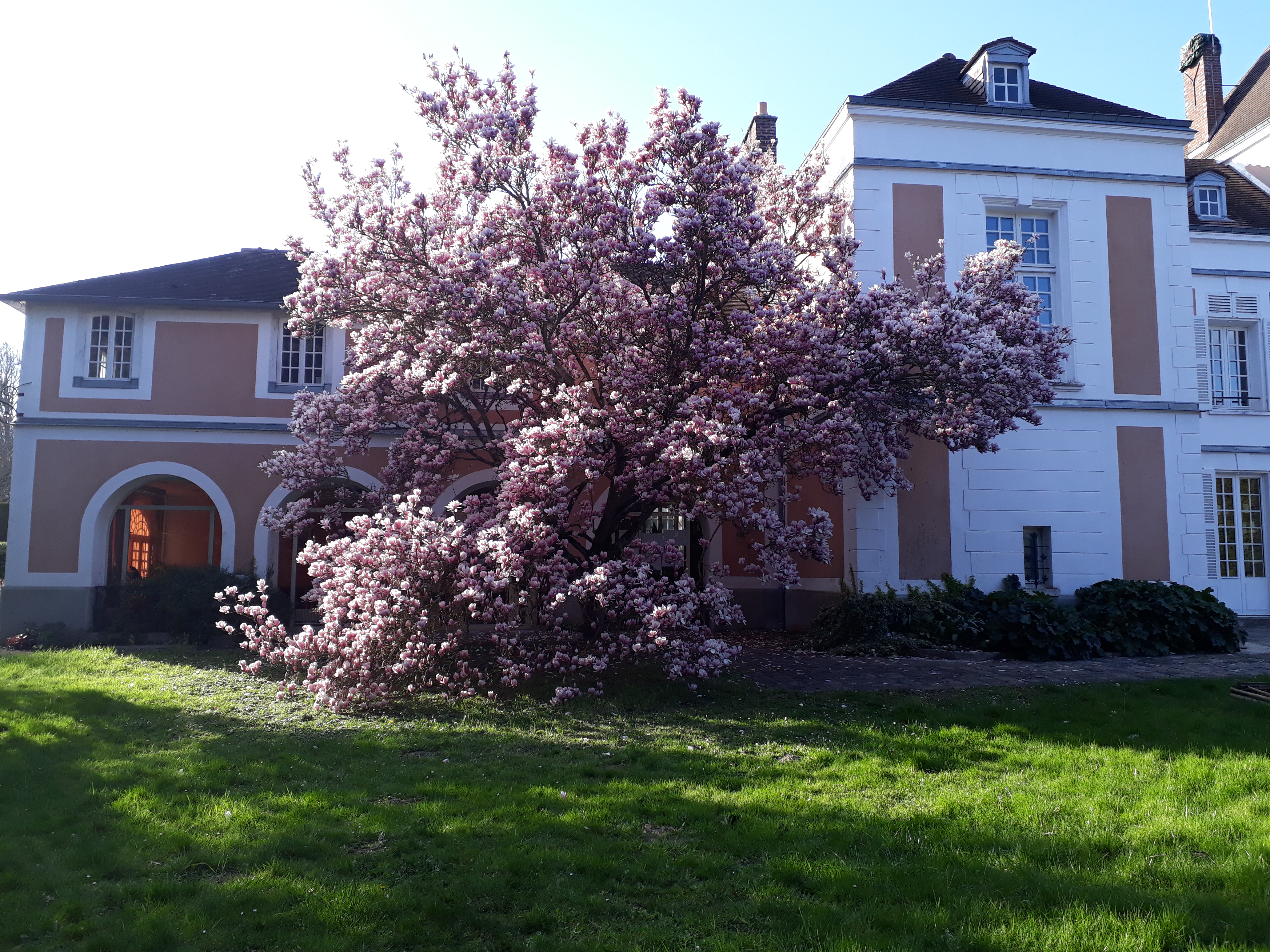 Photo n° 1 de l'avis de Laëtitia.n fait le 10/04/2019 à 18:30