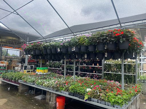 Home Improvement Store «The Home Depot», reviews and photos, 11100 Telegraph Rd, Taylor, MI 48180, USA