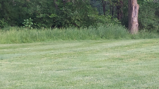 Golf Course «Hodge Park Golf Course», reviews and photos, 7000 NE Barry Rd, Kansas City, MO 64156, USA