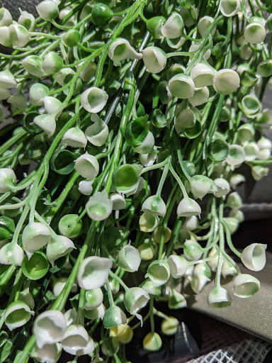 Florist «Poplar Flower Shop», reviews and photos, 361 S 18th St, Terre Haute, IN 47807, USA