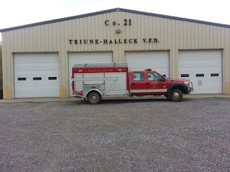 Triune-Halleck Volunteer Fire