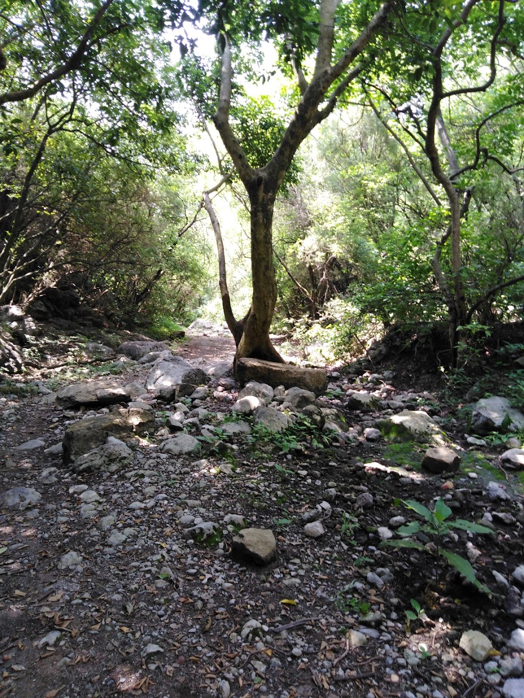 Margalla Hills Hiking Trail 6 - (Chak Jabbi) - Ridge Trail