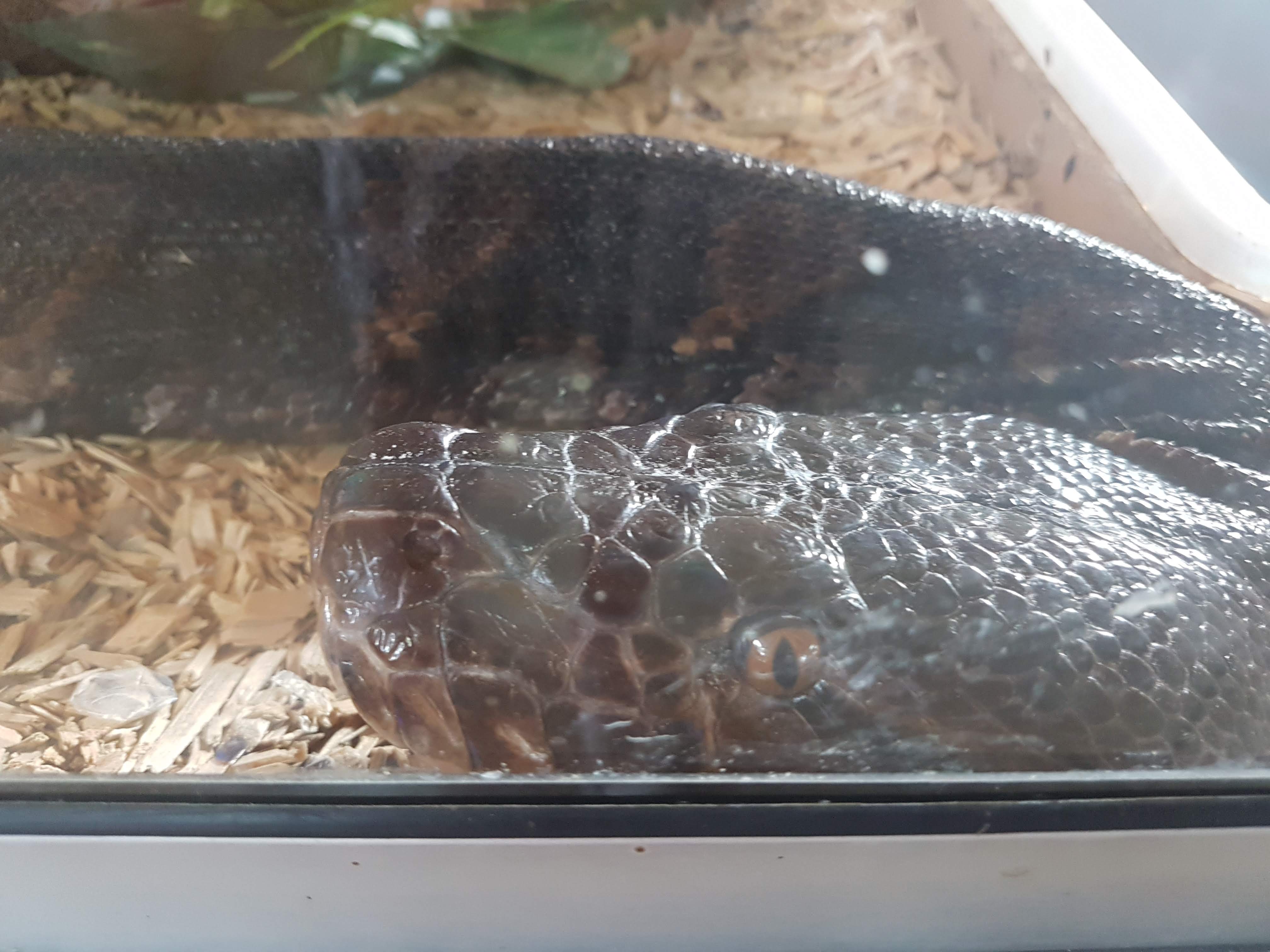 Photo n° 7 de l'avis de Laurent.E fait le 25/08/2018 à 22:09