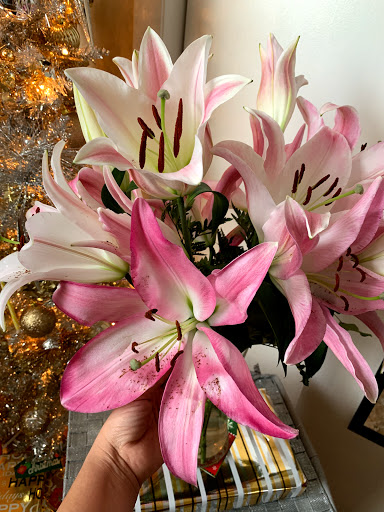 Florist «Flowers By Grace», reviews and photos, 18156 NW 2nd Ave, Miami, FL 33169, USA