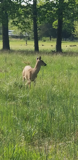 Golf Course «Green Knoll Golf Course», reviews and photos, 587 Garretson Rd, Bridgewater, NJ 08807, USA