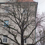 Photo n°2 de l'avis de Bharat.a fait le 28/01/2020 à 21:42 sur le  Leonardo Hotel Munich City Olympiapark à Munich