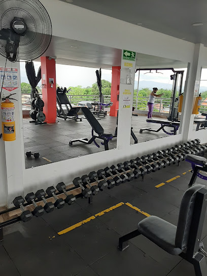 Iron Paradise Gym - Cl. 20 #Nº 28-05, Neiva, Huila, Colombia