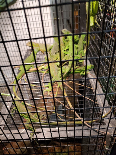 Pet Store «S & S Exotic Animals Inc», reviews and photos, 1711 Connorvale Rd, Houston, TX 77039, USA