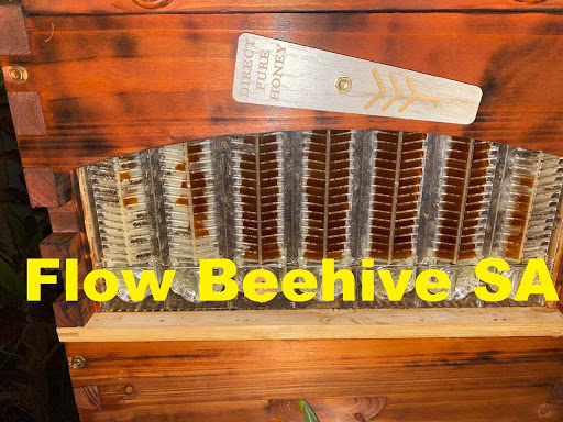 Beehive Honey Flow bee hive South Africa