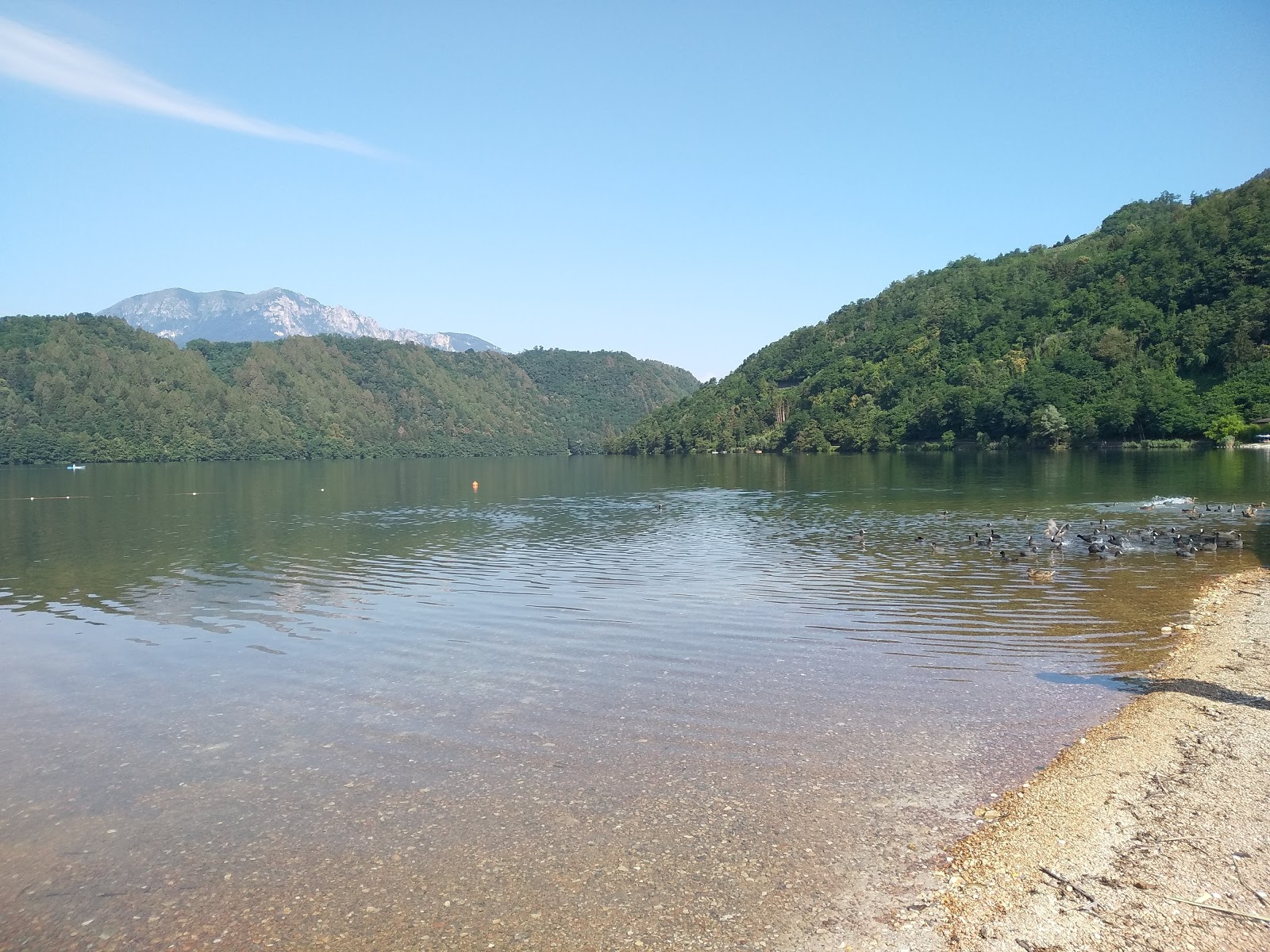 Spiaggia pubblica di Levico'in fotoğrafı ve yerleşim