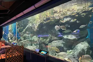 Hekinan Seaside Aquarium image