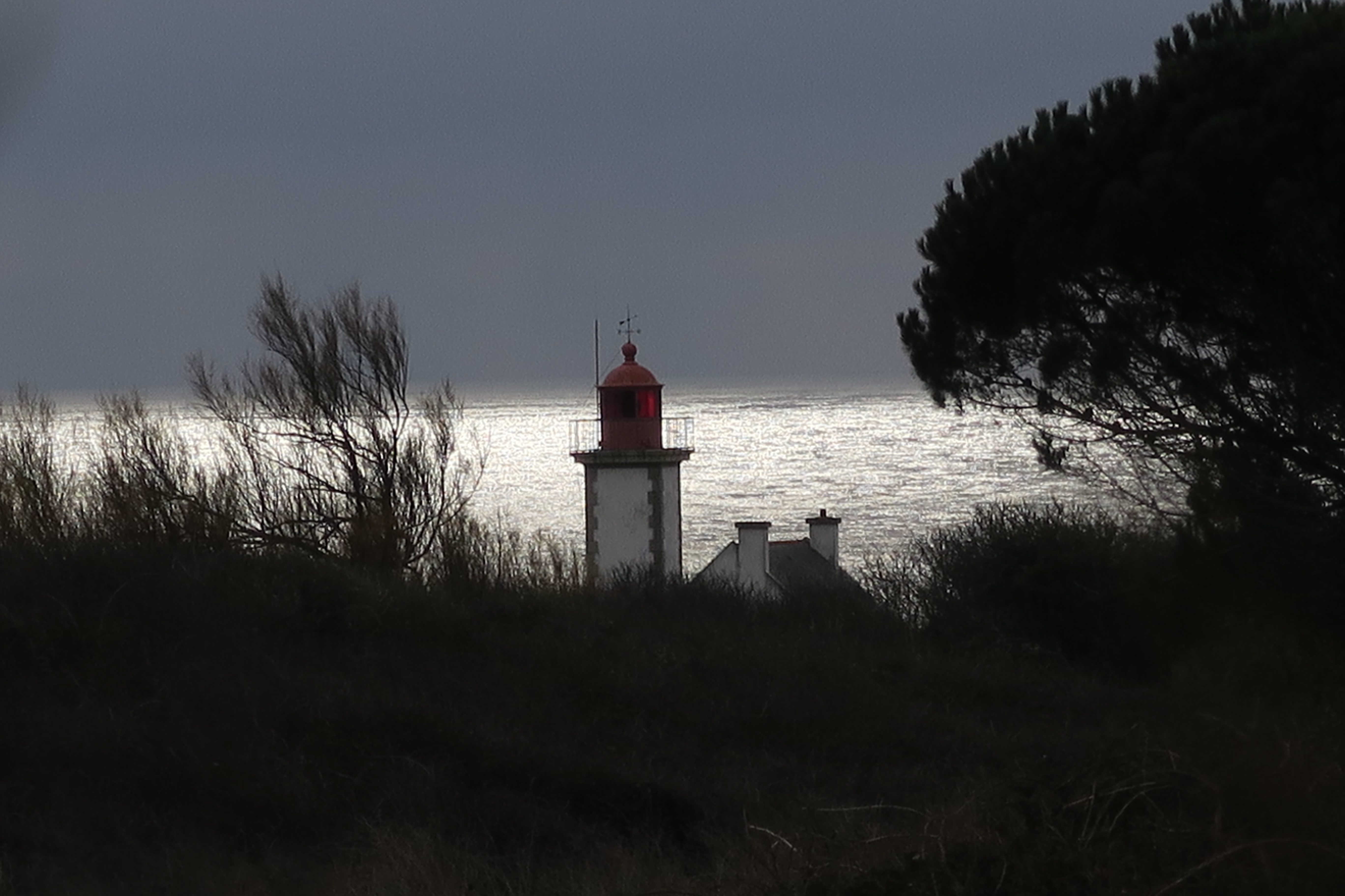 Photo n° 1 de l'avis de Breizh.a fait le 11/10/2019 à 08:30