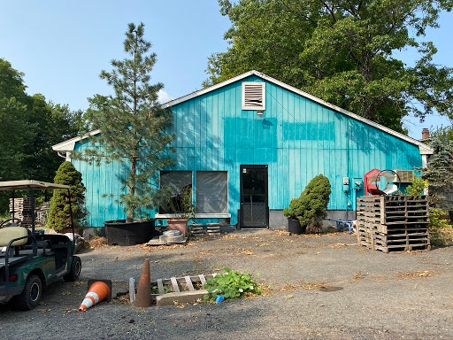 Florist «Butler Florist & Garden Center», reviews and photos, 416 Park Rd, West Hartford, CT 06119, USA