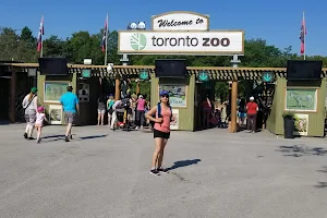 Toronto Zoo Administration image