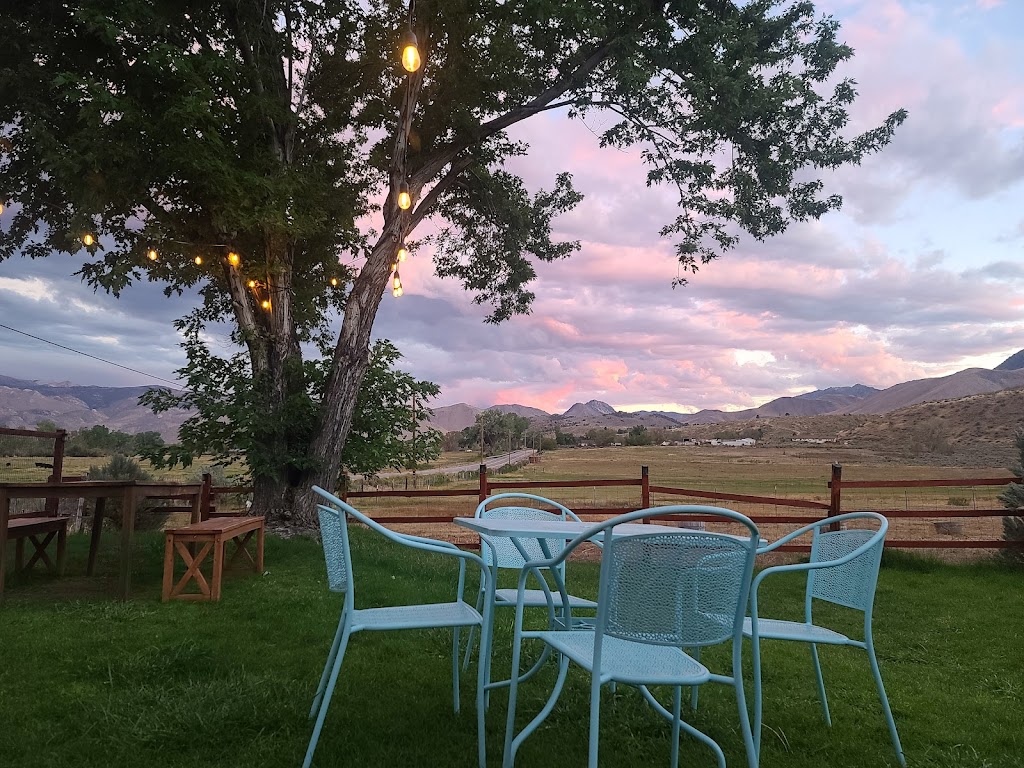 Coachwhip Cafe 96107