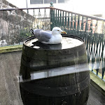 Photo n°4 de l'avis de Pablo.o fait le 03/03/2020 à 20:46 sur le  Eurostars Das Artes à Porto