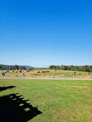 Orchard «Barton Orchards - Noxon Road Store Open Year Round - The Farm is CLOSED for the Season.», reviews and photos, 63 Apple Tree Ln, Poughquag, NY 12570, USA