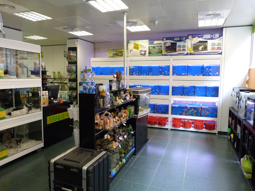 La casa dels gossos - Igualada