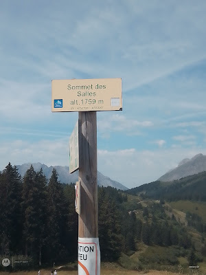 Face Au Mont Blanc à Megève