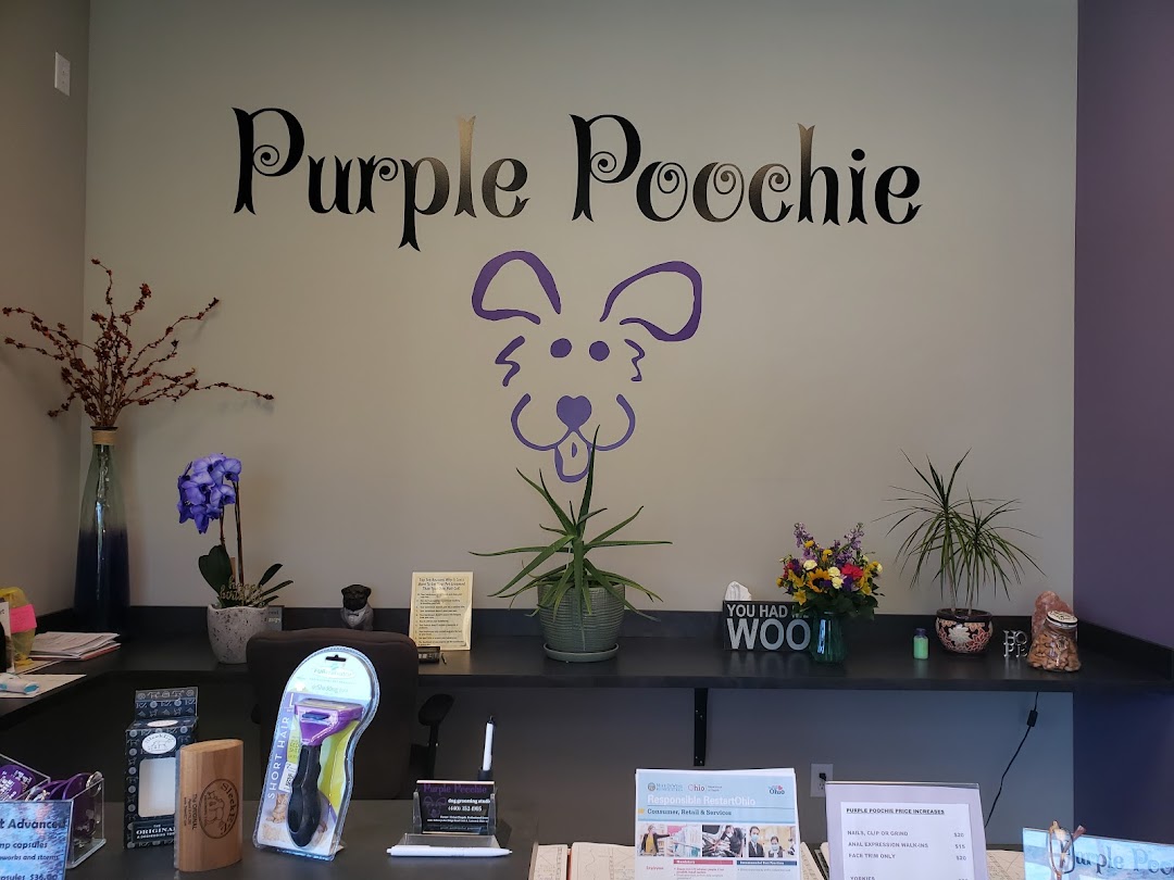 Purple Poochie Dog Grooming Studio