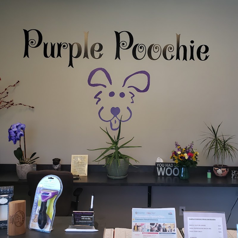 Purple Poochie Dog Grooming Studio