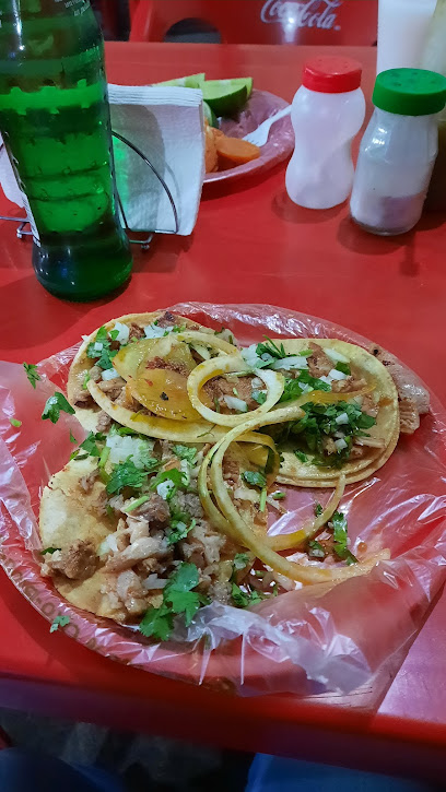 Tacos EL GUERO - 49000, Quintanar 8, Cd Guzmán Centro, Cd Guzman, Jal., Mexico
