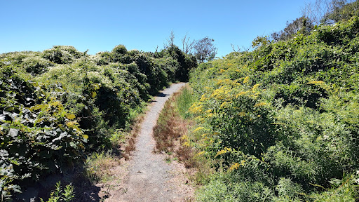 Hiking Area «Black Point Trailhead», reviews and photos, 655 Ocean Rd, Narragansett, RI 02882, USA