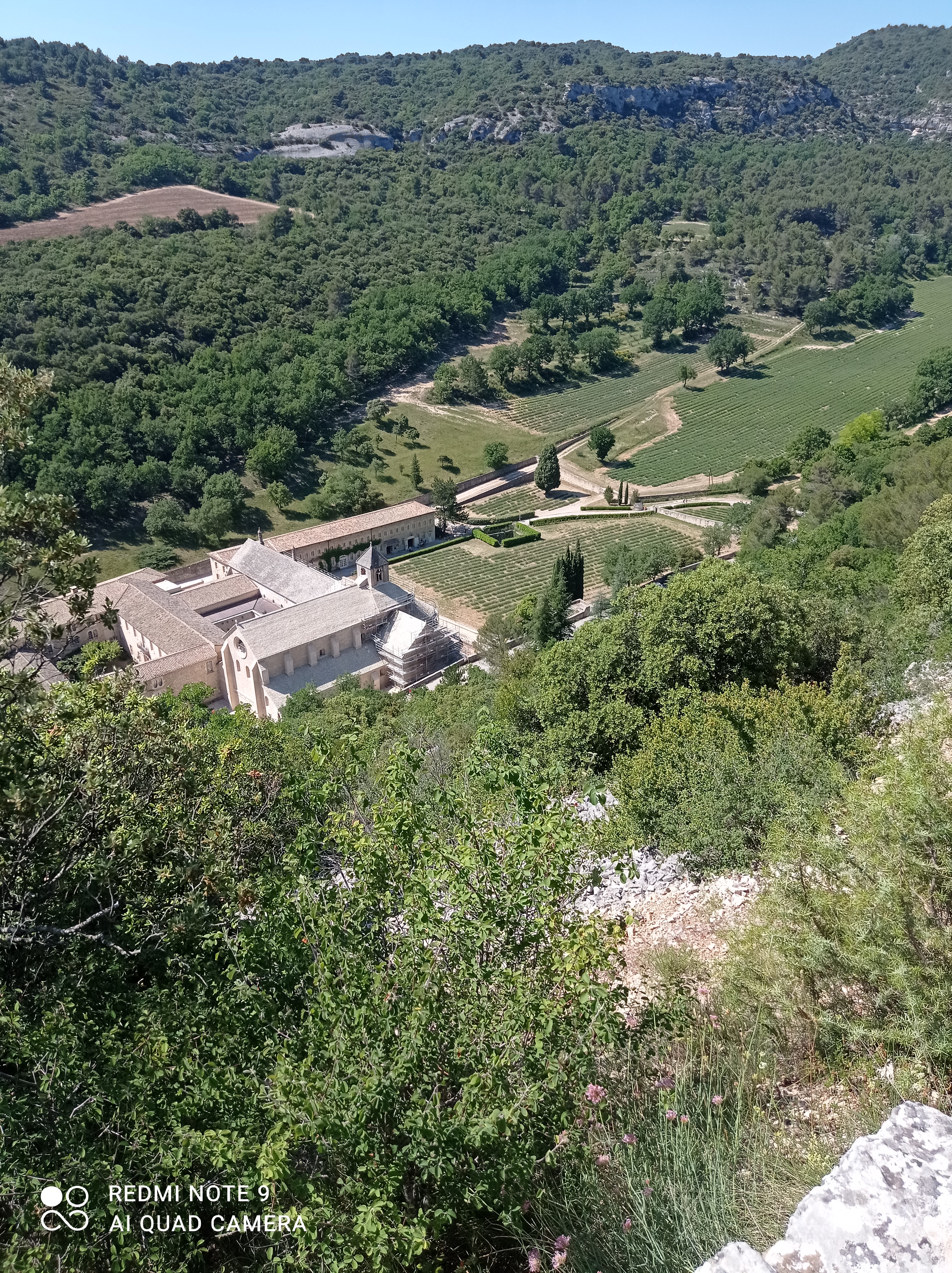 Photo n° 1 de l'avis de Marc.H fait le 15/06/2021 à 12:58