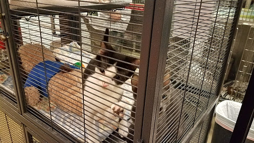 Pet Supply Store «PetSmart», reviews and photos, 2135 NJ-38 Ste B, Cherry Hill, NJ 08002, USA
