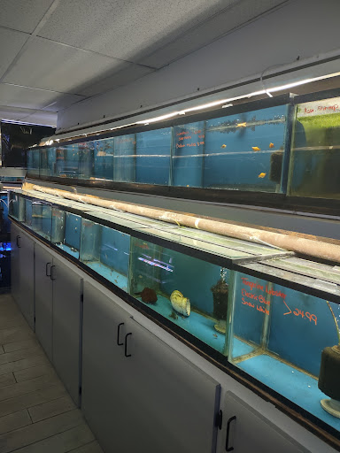 Pet Store «Fish Bowl Aquarium & Pet Mart», reviews and photos, 725 Providence St, West Warwick, RI 02893, USA